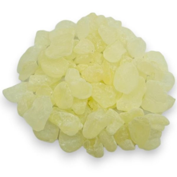 mastix chios Pistacia lentiscus