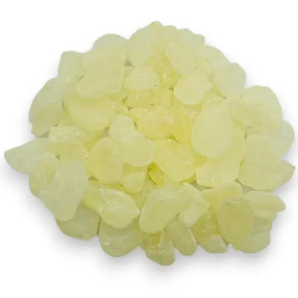 mastix chios Pistacia lentiscus